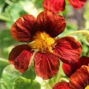 Kategoriename Kategoriename